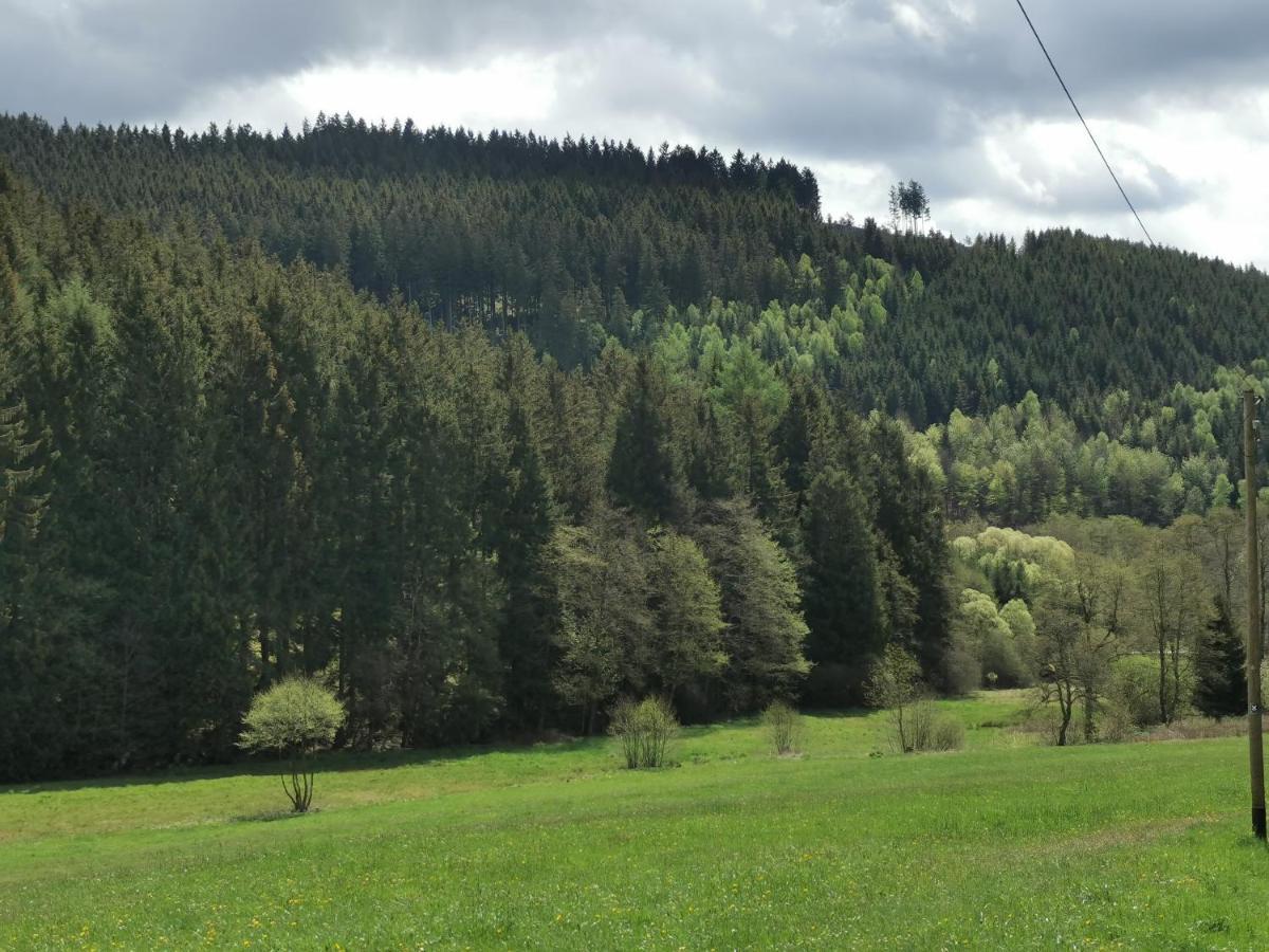 Villa Ferienhaus mit Ausblick Brilon Exterior foto