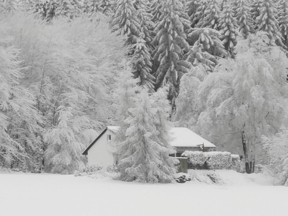 Ferienhaus mit Ausblick Brilon Exterior foto